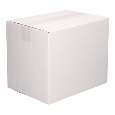 Afbeelding voor White Single Wave Shipping Box (30.5×22×10 cm)