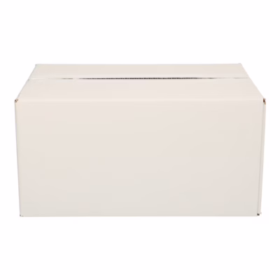 Afbeelding voor Single Wave Shipping Box (30.5×22×20 cm)