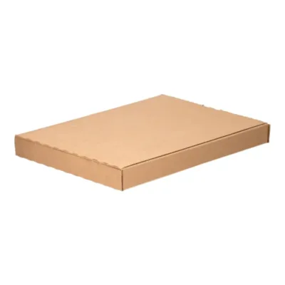 Afbeelding voor Brievenbusdoos 220 x 28 x 305 mm met plakstrip
