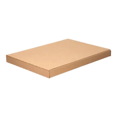 Afbeelding voor Brievenbusdoos 260 x 28 x 370 mm met plakstrip