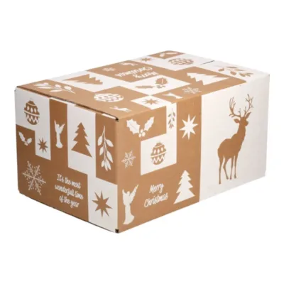 Afbeelding voor Kerstdoos E Wonderful White 55 x 39 x 30 cm