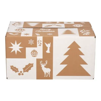 Afbeelding voor Kerstdoos E Wonderful White 55 x 39 x 30 cm