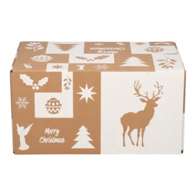 Afbeelding voor Kerstdoos E Wonderful White 55 x 39 x 30 cm